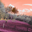 samealbum.com favicon